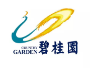东山碧桂园地产